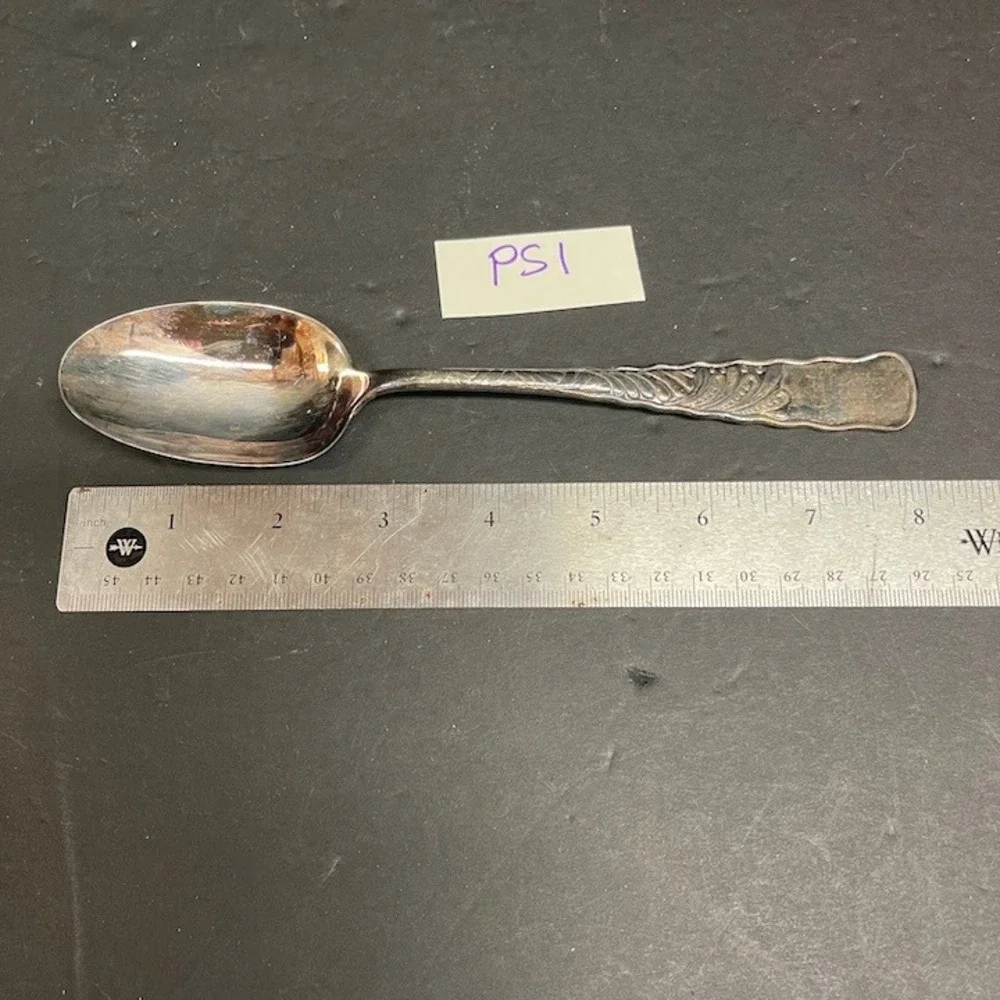 Antique International Silver Wm Rogers Royal Plume Silver Plate Serving Spoon 8